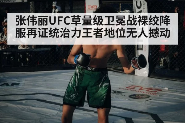 UFC octagon fight